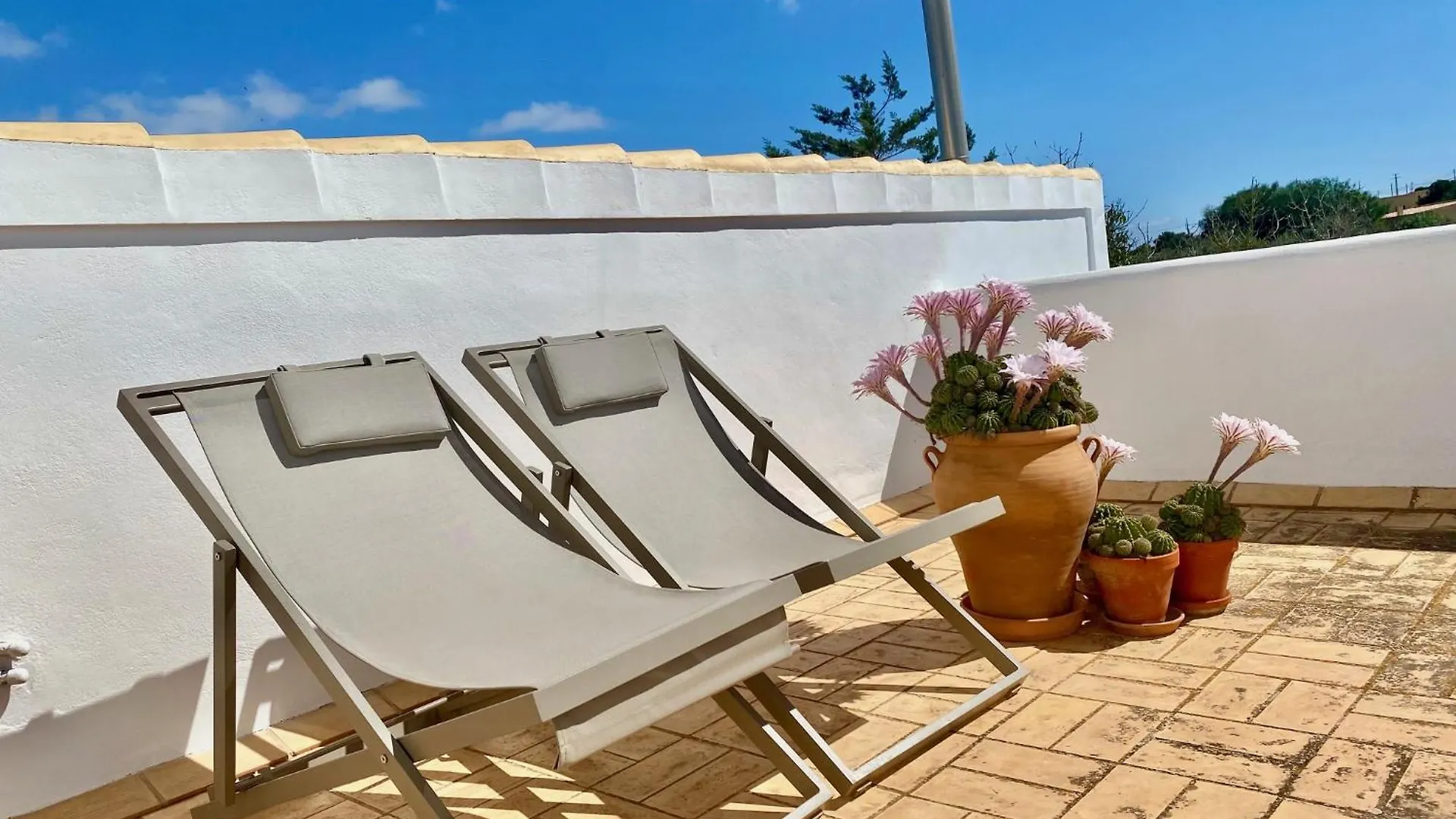 Vakantiehuis Ses Oliveres Cala Saona